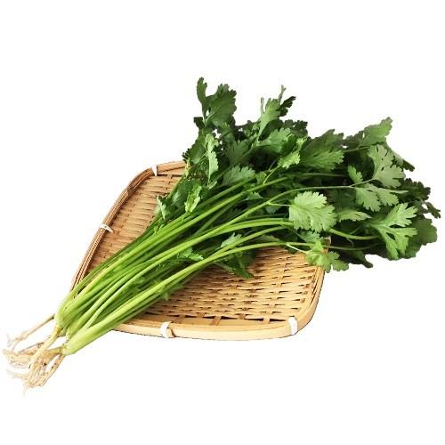 新鮮野菜 産地直送 ビッグヤード新鮮産直野菜 パクチー 100gパック 永遠の定番モデル