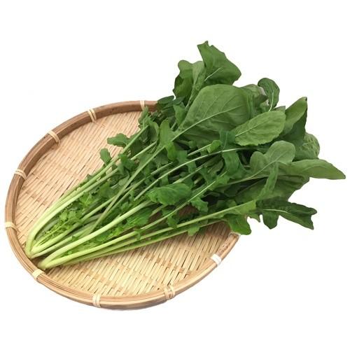 新鮮野菜 産地直送 ビッグヤード新鮮産直野菜 ルッコラ 業務用バラ Kg売 爆買い