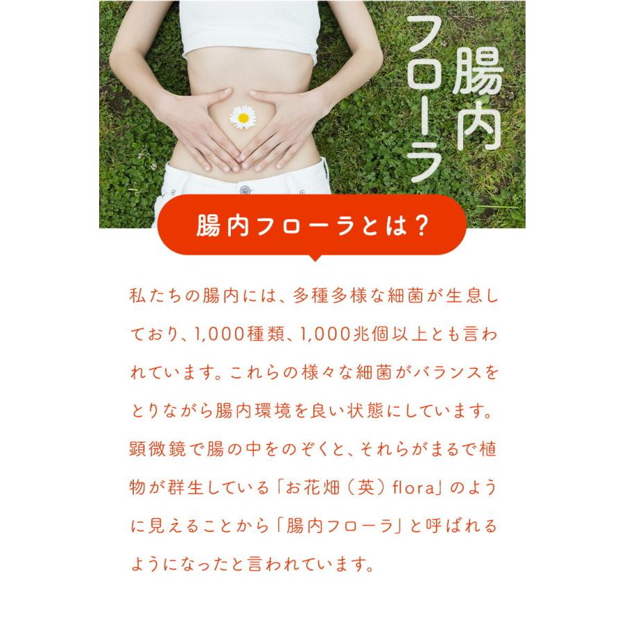 R&Nザ・バリアエキスパート360゜(28粒×２箱)&洗えるマスク10枚セット  乳酸菌プロバイオティクス　食物繊維　ビタミンC・D｜bihada-clinic｜05