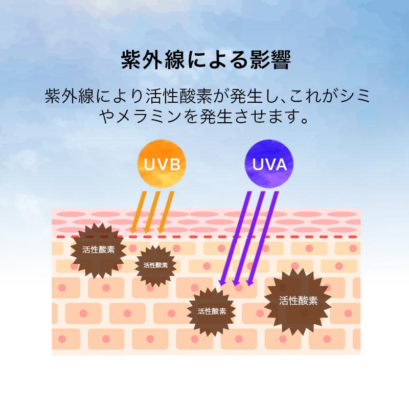 お得セットプロテクサンプラス (120粒) & 紫外線対策　R&N サンエキスパート ホワイトリッチ (お試し１週間分)｜bihada-clinic｜03