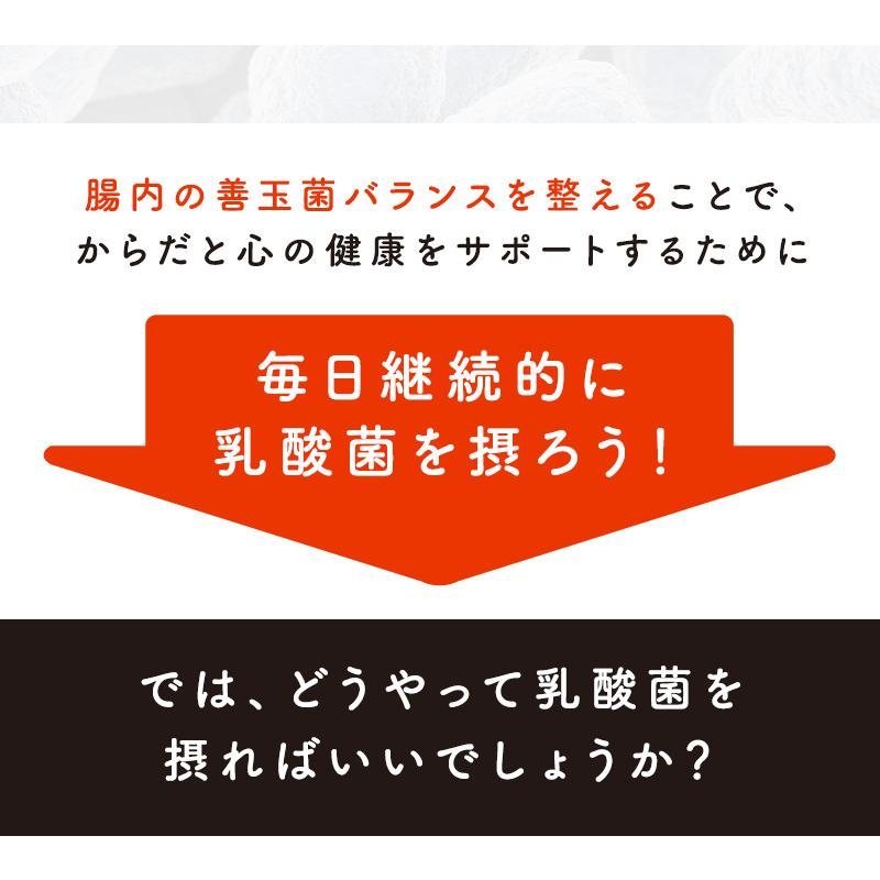 【２箱セット】R&N　ザ・バリアエキスパート360゜(28粒)　乳酸菌　プロバイオティクス　食物繊維　ビタミンC・D｜bihada-clinic｜08