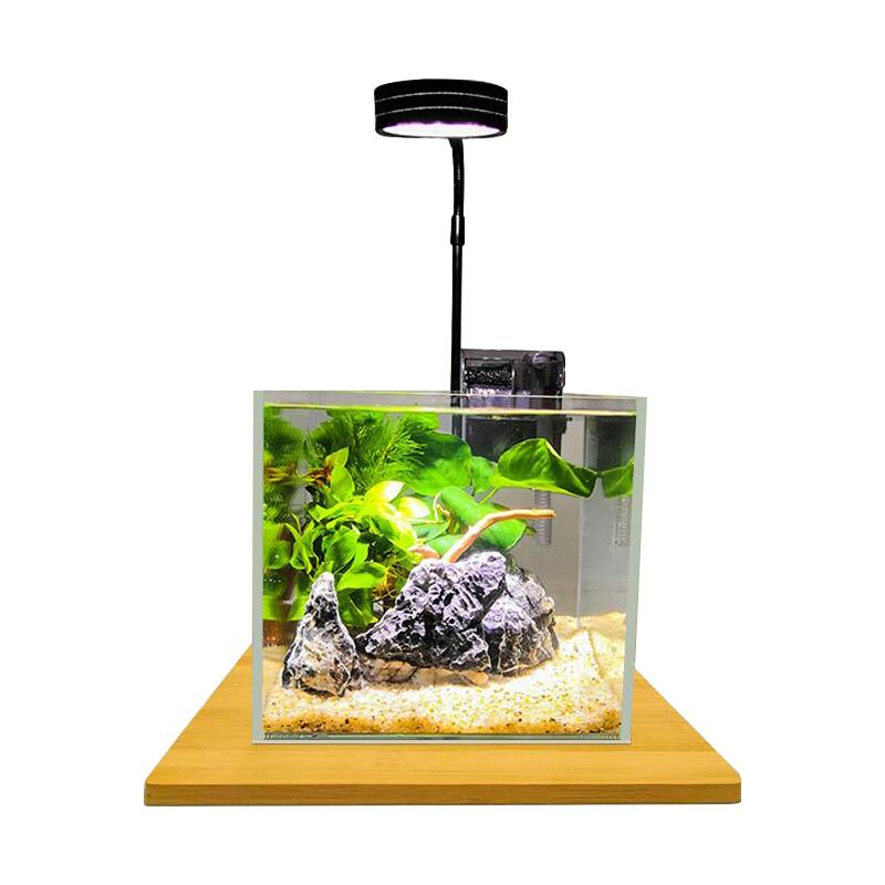 3w 15cm水槽用アクアリウムライト Ledライト1灯 竹製ベース 小型 角度調節可能 水草 植物育成 熱帯魚 植物 観賞魚 金魚などの飼育 長寿命 省エネ 和室 洋室 Roki 298 3 億兆堂ショッピングモール 通販 Yahoo ショッピング