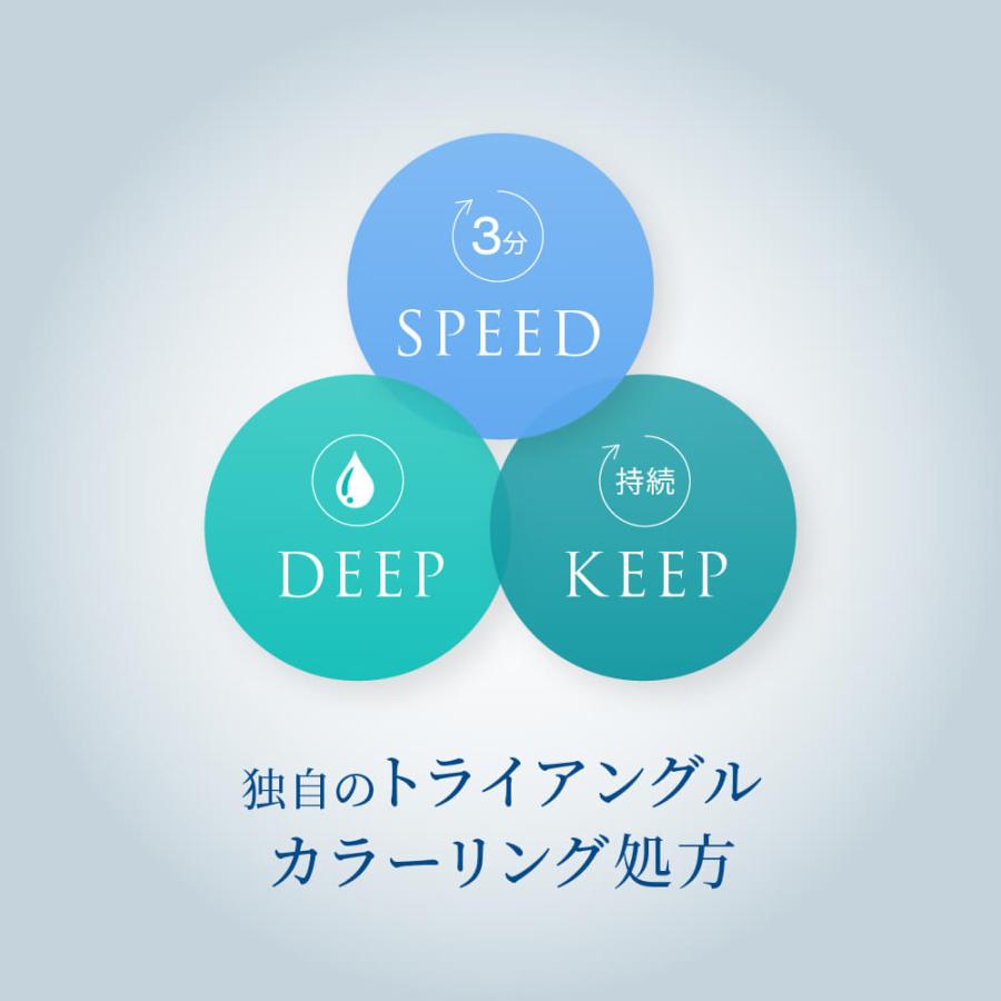 LPLP（ルプルプ） 白髪染めトリートメント ヘアカラー 2本セット