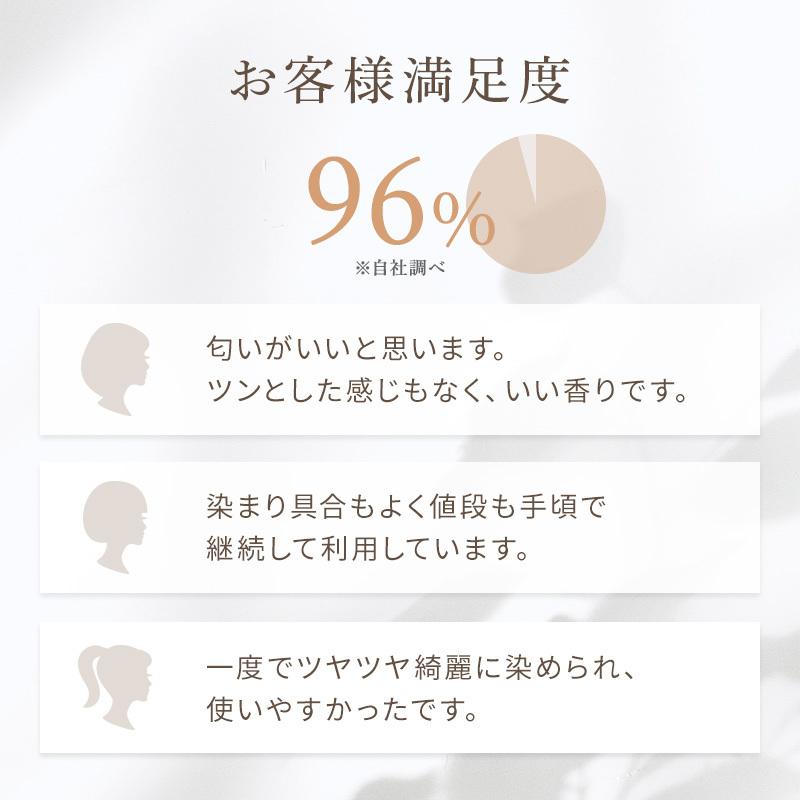 見事な創造力 メール便_送料無料 返品不可 ヘアカラートリートメントお試しパウチセット 白髪染め 送料無料 公式 LPLP ルプルプ 見事な創造力 メール便_送料無料 返品不可 ヘアカラートリートメントお試しパウチセット 白髪染め 送料無料 公式 LPLP ルプルプ
