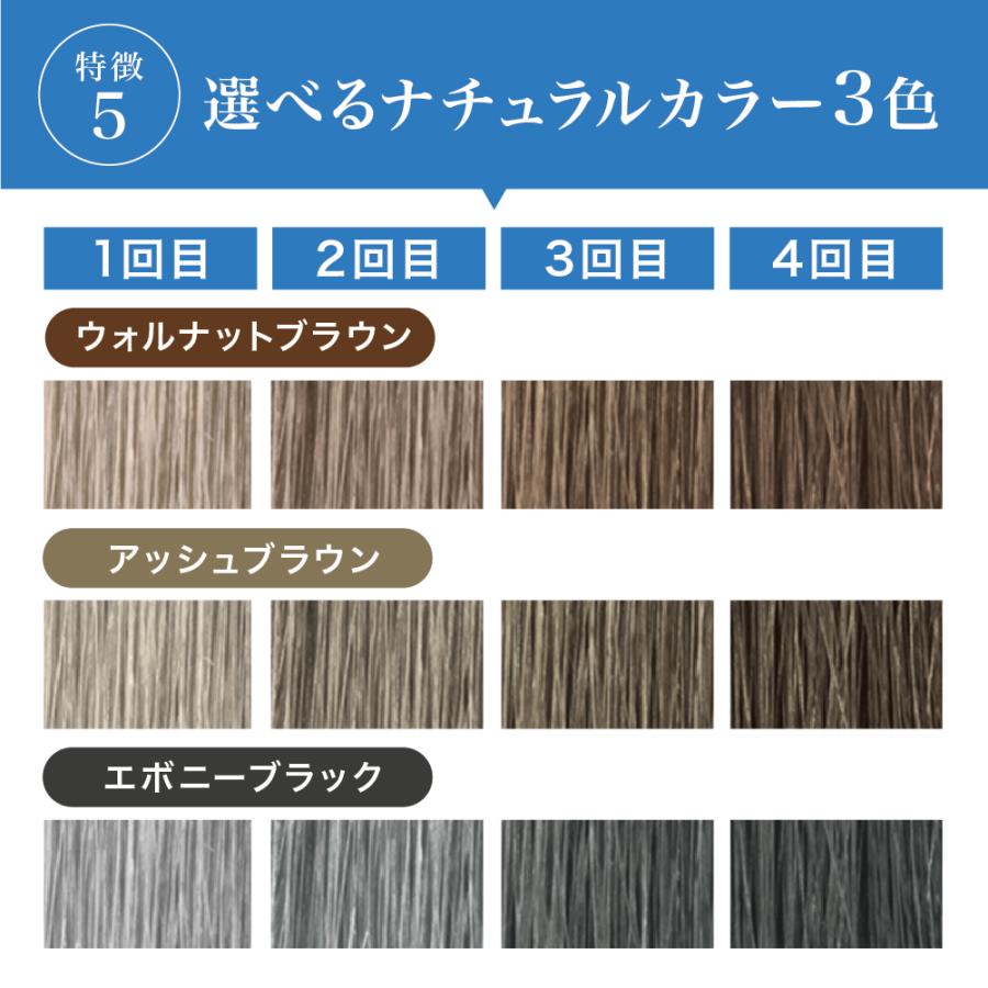 毛染めシャンプー 白髪 泡 女性 カラー ルプルプ LPLP エッセンス