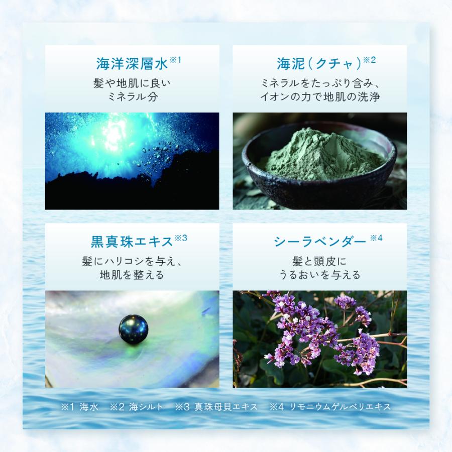 ルプルプ　 LPLP  タラソケア  シャンプーコ　ンディショナー LPLP タラソケア ザ・シャンプー&コンディショナー セット