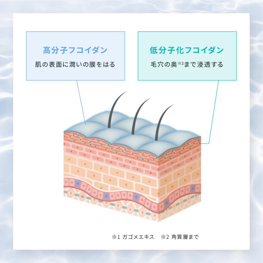 LPLP 【公式】ルプルプ ヘアカラー用シャンプー パウチ 詰め替え LPLP 【公式】ルプルプ ヘアカラー用シャンプー パウチ 詰め替え