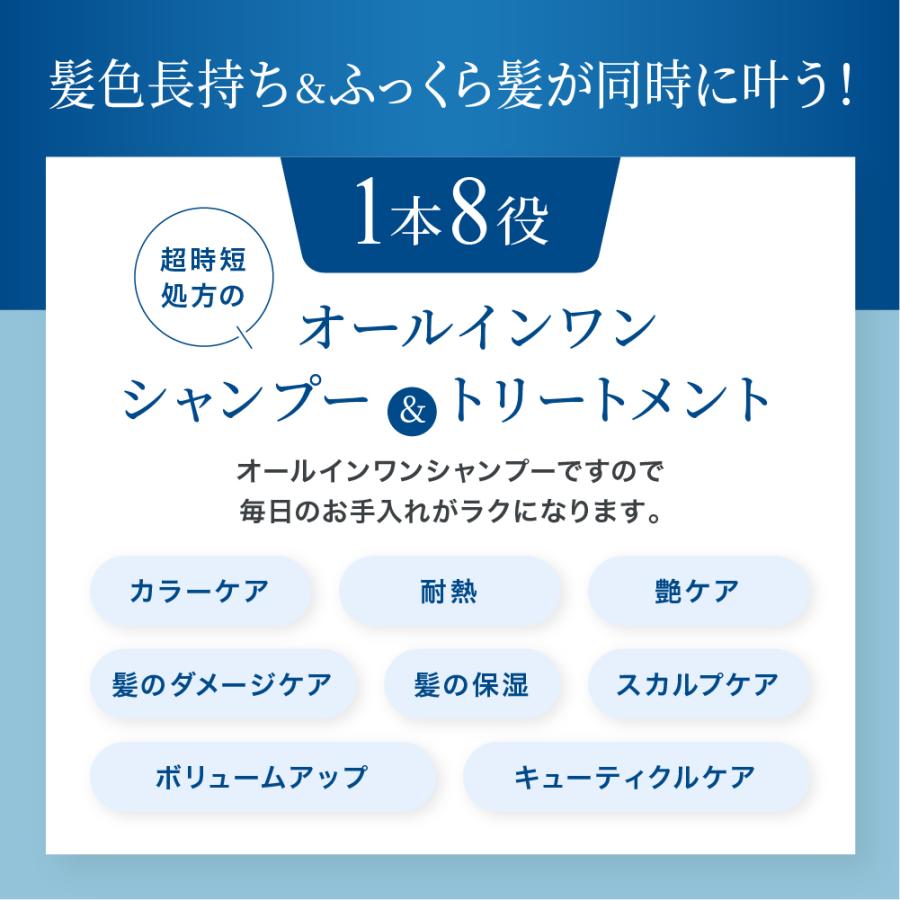 LPLP 【公式】ルプルプ ヘアカラー用シャンプー パウチ 詰め替え LPLP 【公式】ルプルプ ヘアカラー用シャンプー パウチ 詰め替え