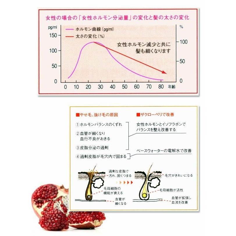 薬用 ザクローペリ NEWタイプ1000ｍｌあすつく(送料無料) (詰替え用)(業務用)大(即納可)（医薬部外品）(プレゼント ギフト)｜bijinsyokunin｜03