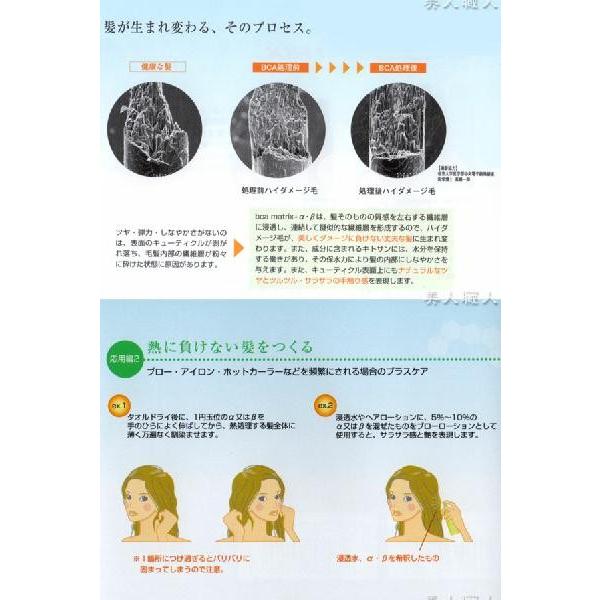 メール便送料無料)BCA matrix+β 90ml（ビーシーエー・マトリックス