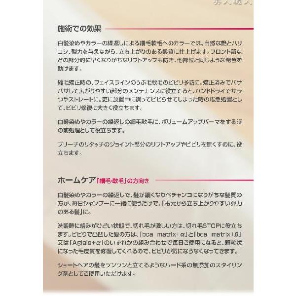 メール便送料無料)BCA matrix+β 90ml（ビーシーエー・マトリックス