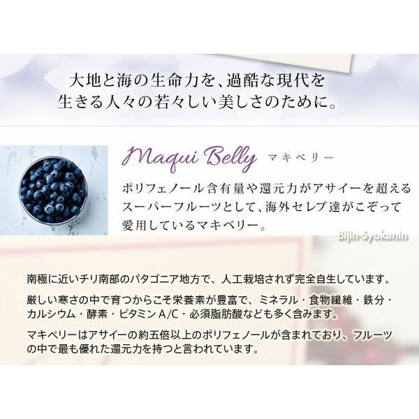 (お得な2個セット) Dr.SCALP Seepe  シープ 60粒美容系ボリュームアップサプリメント あすつく(送料無料) (エクセレンスVEGF、ドクタースキャルプ)の画像