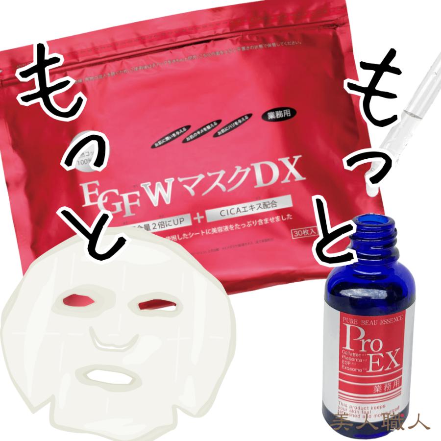 EGF（CLUEiD） EGF Wマスク DX 30枚入り + ピュアビューエッセンスプロ