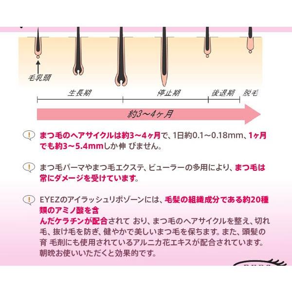 2個セット)アイズ アイラッシュリポゾーン15ml(送料無料)(EYEZ)(即納可)まつ毛専用トリートメント(まつげ美容液)あすつく 新パッケージ : eyez-2set:美人職人 プロ 業務用 美容専売品 - 通販 - Yahoo!ショッピング 2個セット)アイズ アイラッシュリポゾーン15ml(送料無料)(EYEZ)(即納可)まつ毛専用トリートメント(まつげ美容液)あすつく 新パッケージ : eyez-2set:美人職人 プロ 業務用 美容専売品 - 通販 - Yahoo!ショッピング