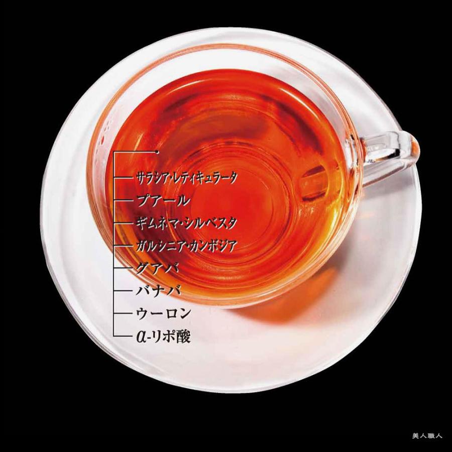 エステプロ ラボ ハーブティー F-ブロッカー アルミ袋タイプ 120g（4gｘ30包）×3個 |  | 04