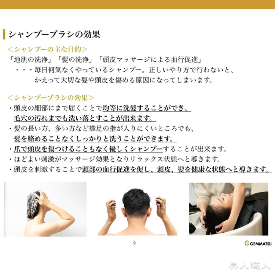 CHI様エクソナインブラシ　セラム 000000005987-02-l.jpg?t=