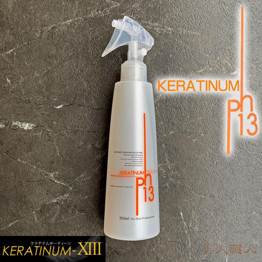 ケラチナムサーティーンプロ　250ml 1000ml セット 楽天市場】正規品 ケラチナムサーティーン プロ 250ml｜ 2個