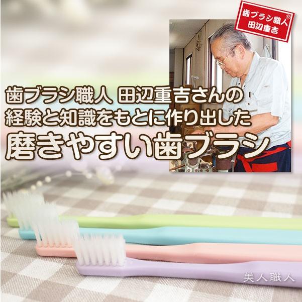 歯ブラシ職人 田辺重吉の磨きやすい歯ブラシ 先細 スタンダード Lt 02 12本セット あすつく セット販売のため 歯ブラシの色は選べません プレゼント ギフト Migakiyasui Ha 美人職人 プロ 業務用 美容専売品 通販 Yahoo ショッピング