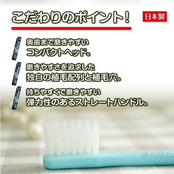 歯ブラシ職人 田辺重吉の磨きやすい歯ブラシ 先細 スタンダード Lt 02 12本セット あすつく セット販売のため 歯ブラシの色は選べません プレゼント ギフト Migakiyasui Ha 美人職人 プロ 業務用 美容専売品 通販 Yahoo ショッピング