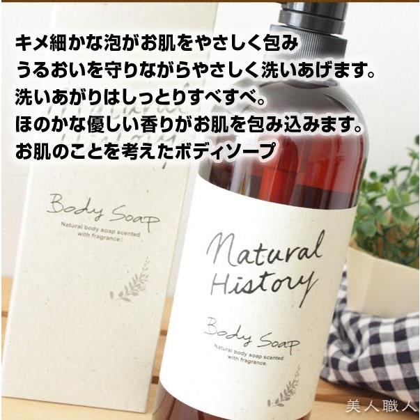 菊星 ナチュラルヒストリーボディソープ 700ml ポンプ入り(5個で送料