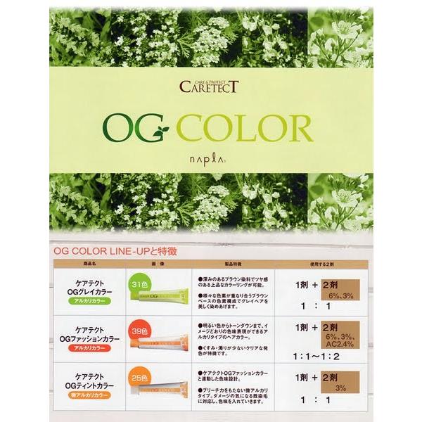 napla（ナプラ） ケアテクトOGカラー2剤／1000ml あすつく (5個で