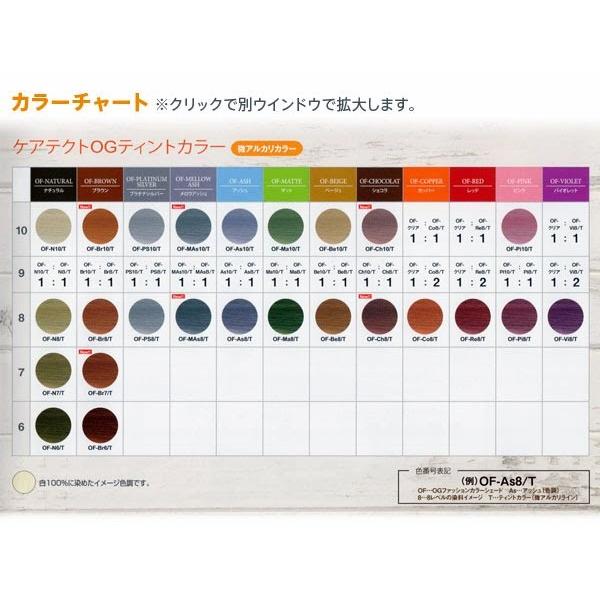 napla（ナプラ） ケアテクトOG TINTカラー〈微アルカリカラー ティント