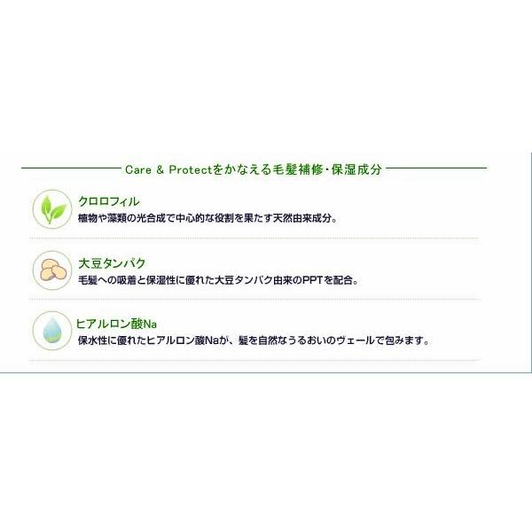 napla ナプラ ケアテクトOGカラー(ナチュラル)(アッシュ napla ナプラ ケアテクトOGカラー(ナチュラル)(アッシュ