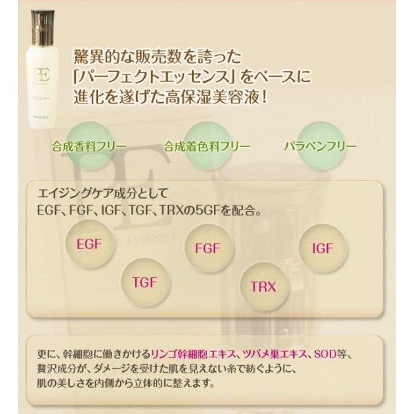 ARTISTIC＆CO. PE パーフェクトエッセンス ザ・クイーン100ml PE THE
