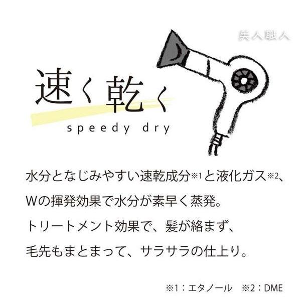 マイニチラクダ スピーディードライ 160g シトラス＋ブラックティーの