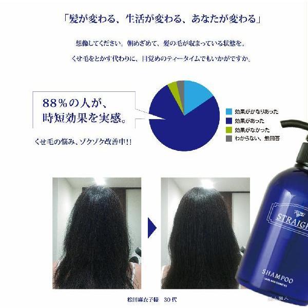 ロイヤルストレート シャンプー トリートメント セット 各50ｍl1本 10個で送料無料 カルサラ の後継品 数量限定 特別価格 Rsst Set50 美人職人 プロ 業務用 美容専売品 通販 Yahoo ショッピング