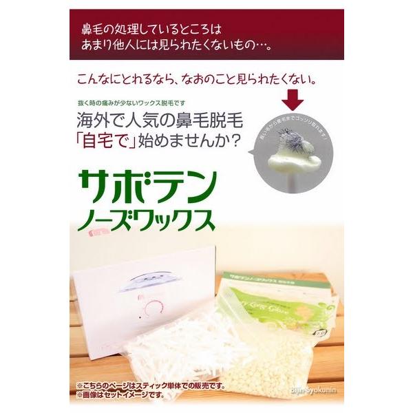 AIVIL（アイビル） サボテンノーズワックス 専用スティック100本 あす