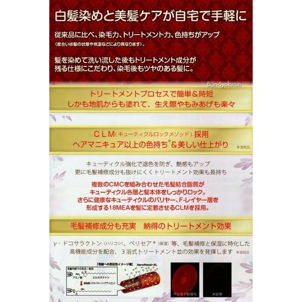 シラガネーゼ ビアント 新ボタニカルカラートリートメント あすつく