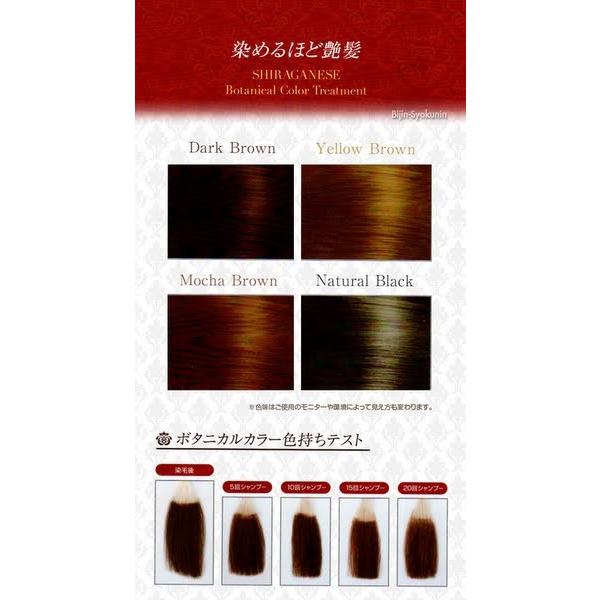 シラガネーゼ ビアント 新ボタニカルカラートリートメント あすつく