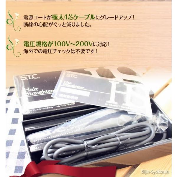 NEW STCヘアストレーナーデジタル仕様 あすつく (送料無料) (正規品