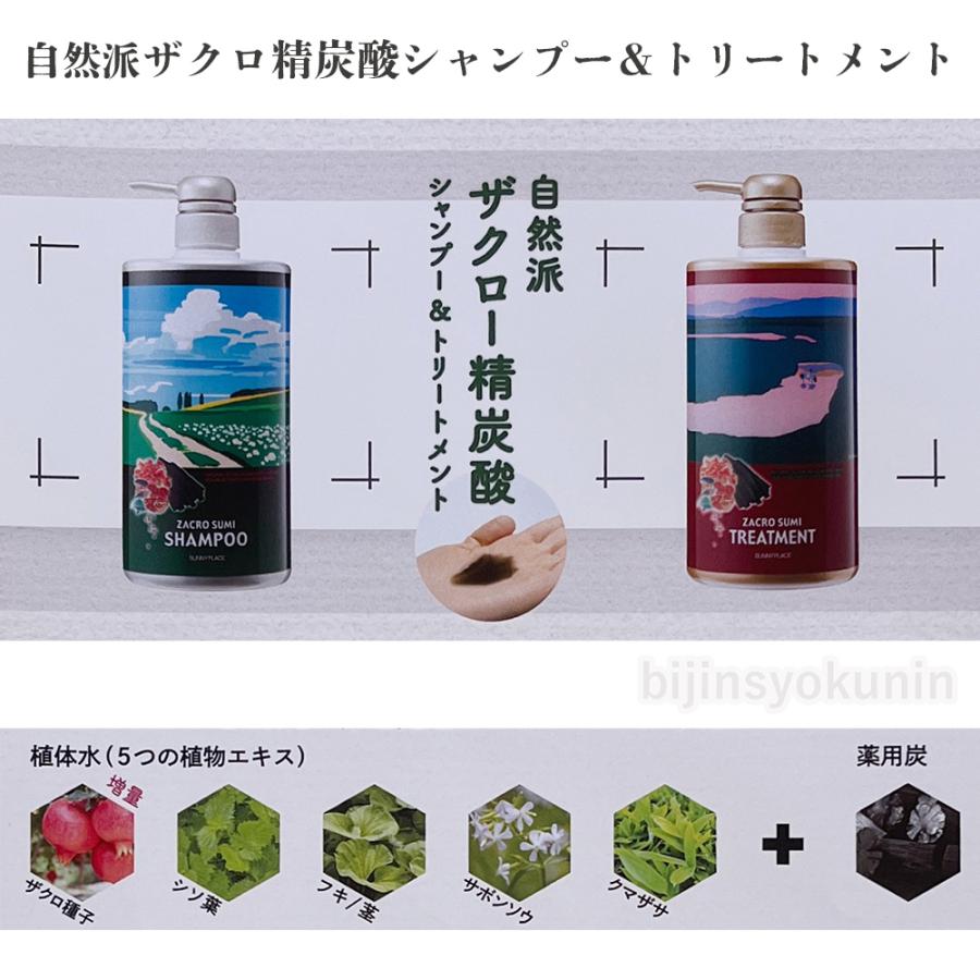 自然派 ザクロ精炭酸シャンプー 500ml ポンプ入り + トリートメント