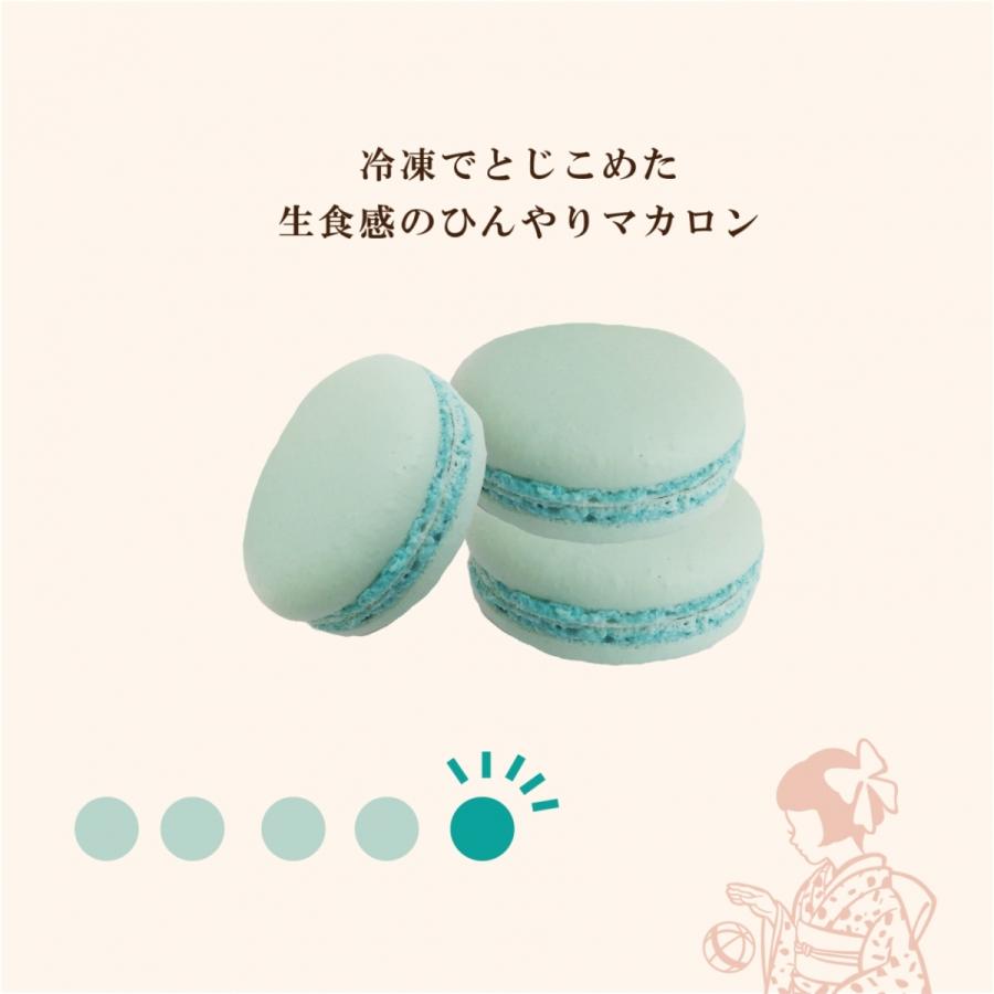 東京都足立区 限定 はれてまりチョコミントマカロン 5個セット Adachi01 03 びじょネットオンラインマルシェ 通販 Yahoo ショッピング