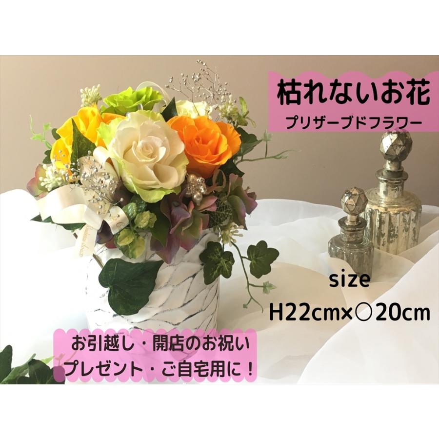 プリザーブドフラワー 自然的 薔薇申し合わせ 花 祝賀会 差し上げ物 差し上げ物 プリザーブドフラワー-花、ガーデニング