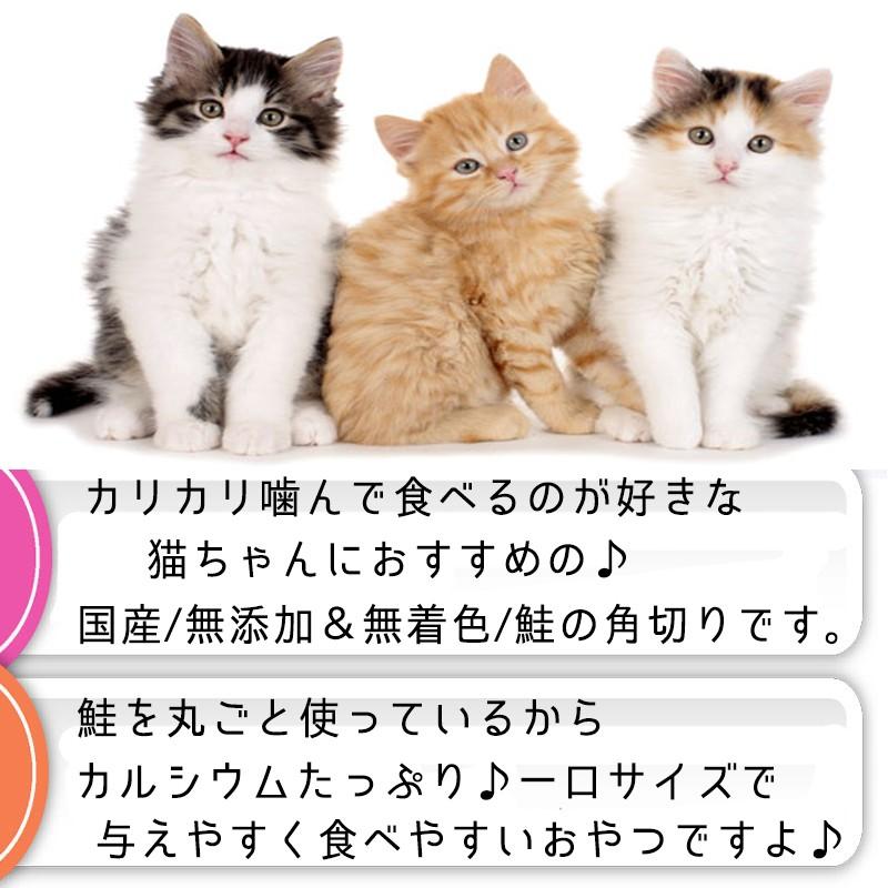 猫 おやつ 猫のおやつ キャットフード 無添加 国産 安全 魚 鮭 猫おやつ 無着色 長持ち 低脂肪 ジャーキー ダイス キューブ 最高級 000nekosakeke1 Brownie Sweet 通販 Yahoo ショッピング