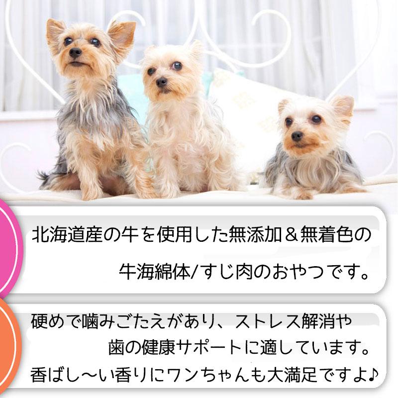 犬 おやつ ガム 犬のおやつ ドッグフード 犬用おやつ 無添加 国産 日本製 犬おやつ 犬ガム 犬用ガム 犬のガム 牛肉 長持ち アレルギー ギフト ジャーキー 犬用｜bijouterieshop｜03