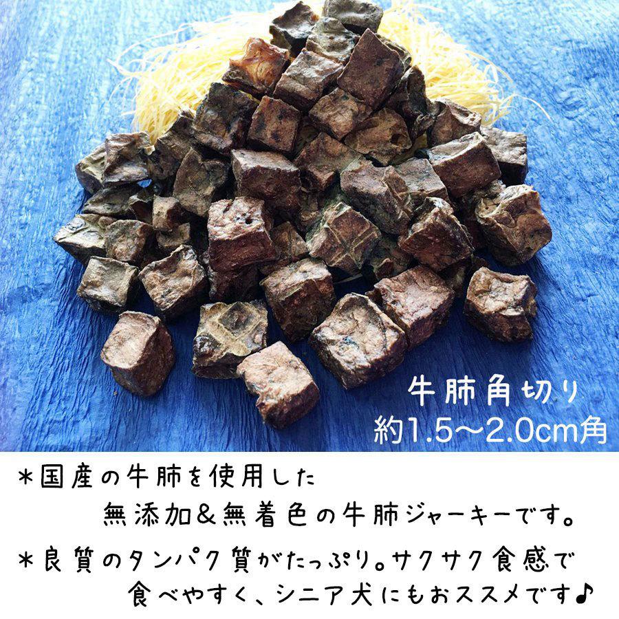 犬 おやつ 犬のおやつ ドッグフード 無添加 国産 日本製 犬おやつ 犬用おやつ 低脂肪 高級 ジャーキー 長持ち 小型犬 中型犬 アレルギー ギフト 00gyugyukaku100 Brownie Sweet 通販 Yahoo ショッピング
