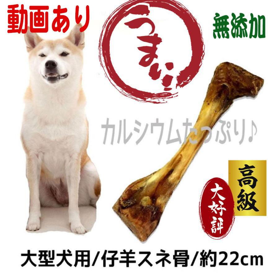 犬 おやつ 犬のおやつ ドッグフード 無添加 ペットフード 骨 ガム 犬おやつ 無着色 乾燥 ボーン ジャーキー 犬のガム 犬ガム 長持ち 大型犬用 アレルギー ギフト 00ramuhone100 Brownie Sweet 通販 Yahoo ショッピング