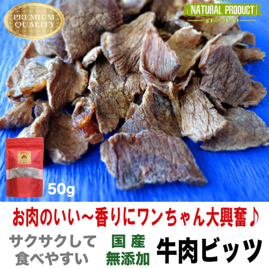 卸し売り購入 犬 おやつ 犬のおやつ ドッグフード 無添加 国産 日本製 低カロリー 犬おやつ 犬用おやつ 牛肉 ビッツ 長持ち 高級 低脂肪 小型犬 中型犬 アレルギー ギフト