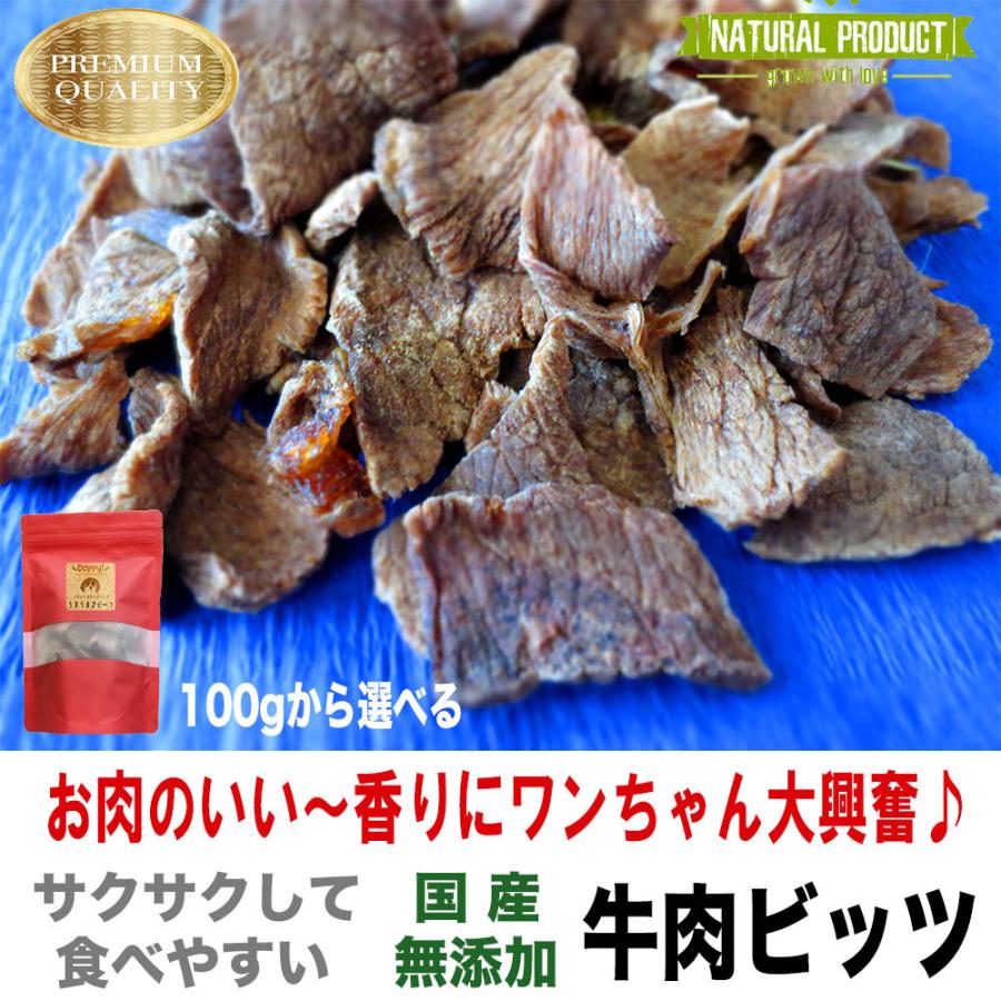 犬 おやつ 犬のおやつ ドッグフード 無添加 国産 日本製 低カロリー 犬おやつ 犬用おやつ 牛肉 ビッツ 長持ち 子犬 低脂肪 小型犬 中型犬 アレルギー ギフト 奉呈