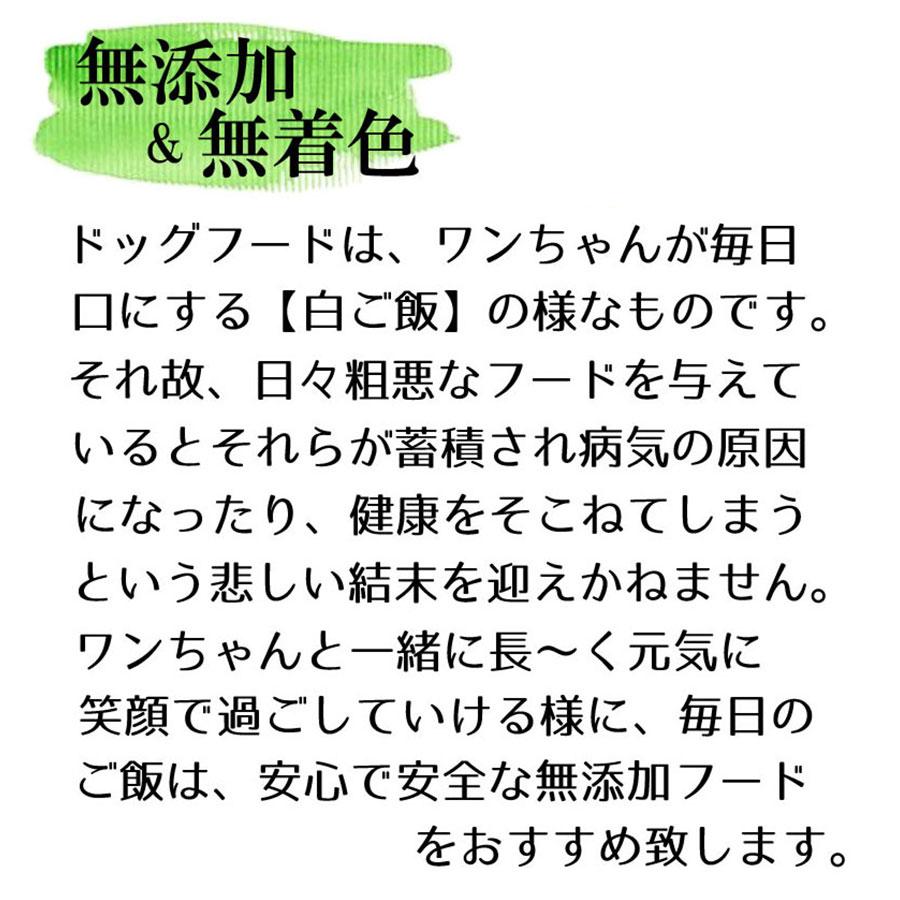 ドッグフード 無添加 250g お試し 国産 ドッグフードお試し ドライフード 小粒 犬用 馬 馬肉 牛肉 鶏 野菜 小型犬 中型犬 シニア犬 高齢犬 アレルギー サンプル｜bijouterieshop｜05