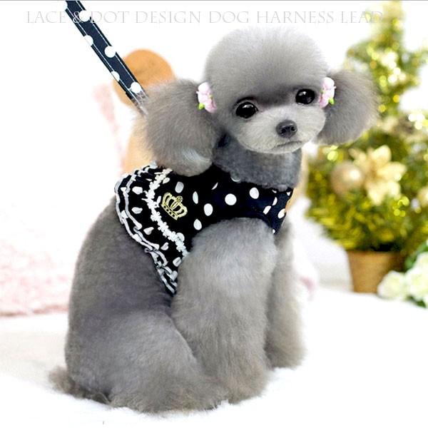 犬 服 ハーネス 犬ハーネス ハーネス付き服 犬のハーネス おしゃれ 脱げない かわいい リード 子犬 小型犬 中型犬 犬ハーネスリードセット 水玉 Zzffr Brownie Sweet 通販 Yahoo ショッピング