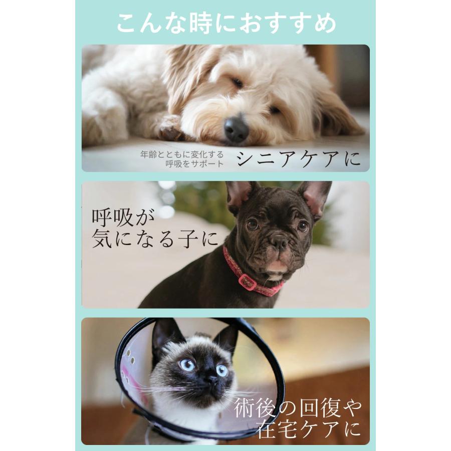IKOU Respvet JAW-5KW 酸素発生器 ホース・説明書付き bijyutuhinn_yang003