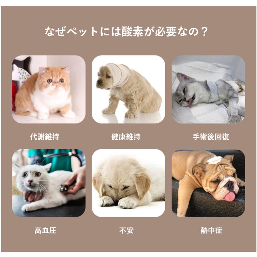 大型 5L酸素発生器 IKOU 日本総代理権 ペット酸素室 酸素発生器ペット