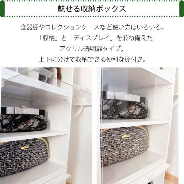 完成品 キューブボックスα 透明扉付き＆木棚付き カラーボックス 1段