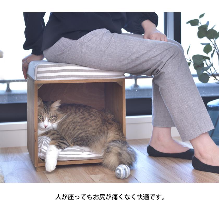 ペットと寛ぐ クッション付きスツール 木製 北欧 低め キューブ ペットと寛ぐ クッション付きスツール 木製 北欧 低め キューブ