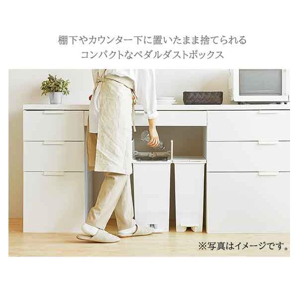 省スペースで大きく開く ペダル式 ダストボックス 20L 両開き キッチン
